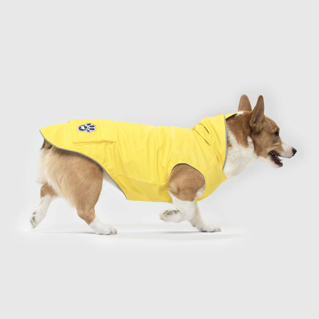 Torrential Tracker by Canada Pooch | Canadapoud 2393