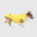 Torrential Tracker by Canada Pooch | Canadapoud 2393
