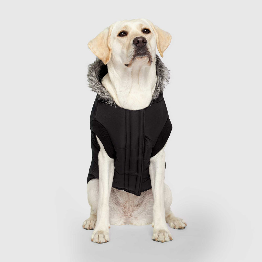 True North Parka by Canada Pooch | Canadapoud 3A78