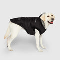True North Parka by Canada Pooch | Canadapoud 3A78