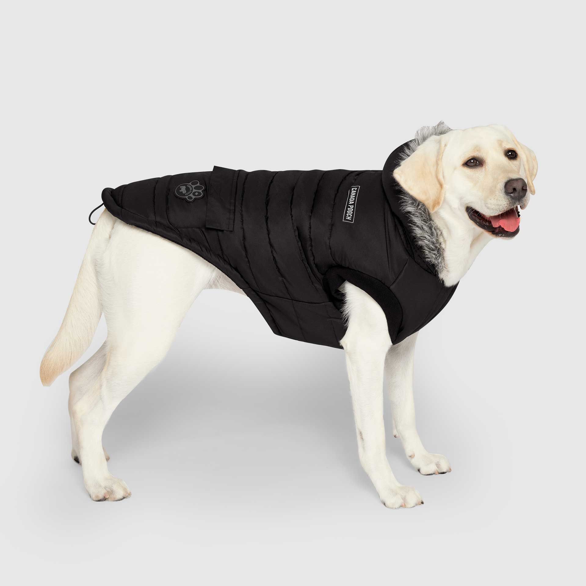 True North Parka by Canada Pooch | Canadapoud 3A78