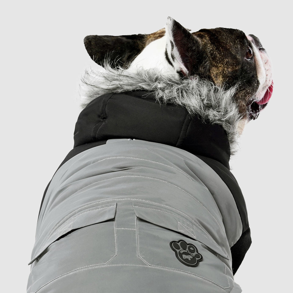 True North Parka by Canada Pooch | Canadapoud 3A78