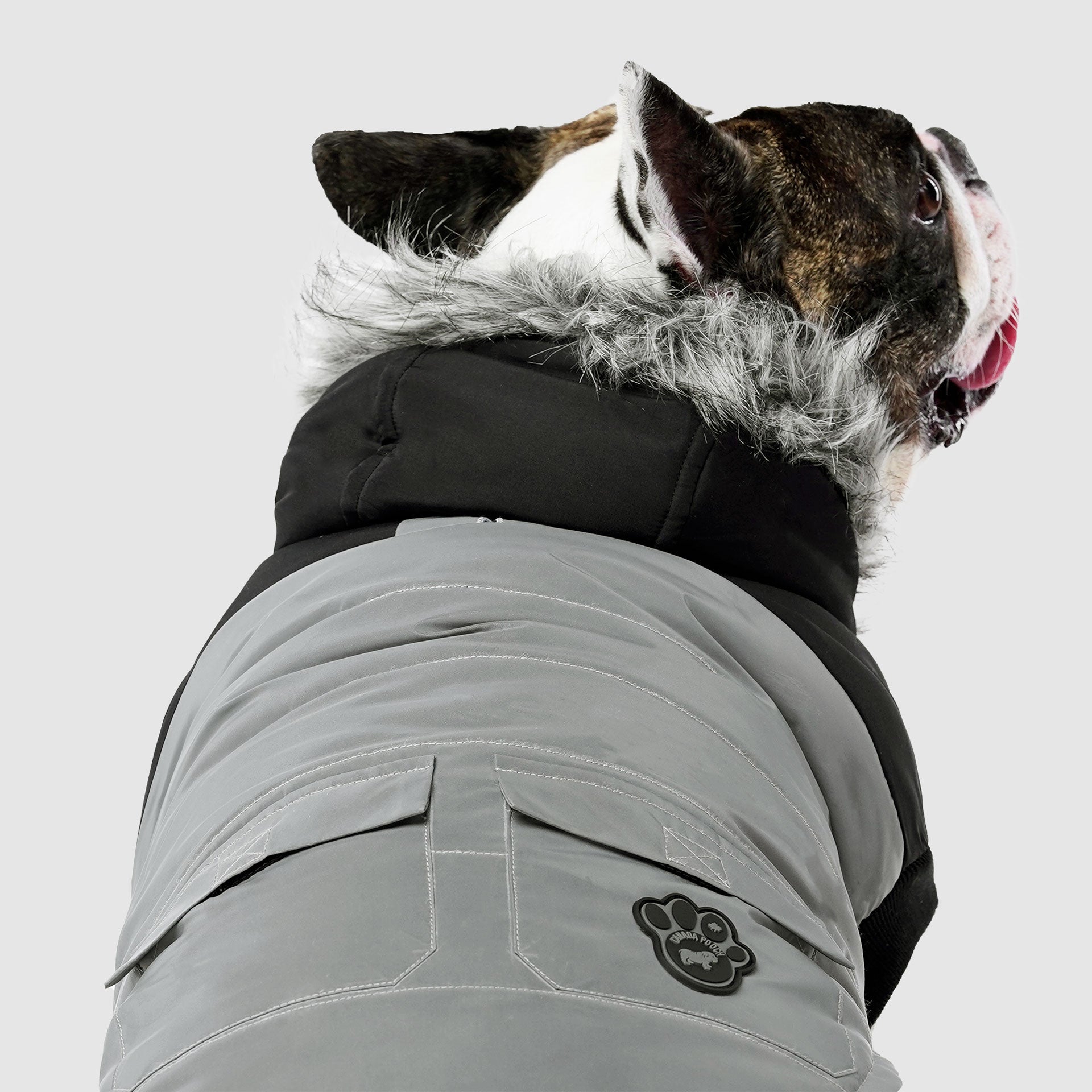 True North Parka by Canada Pooch | Canadapoud 3A78
