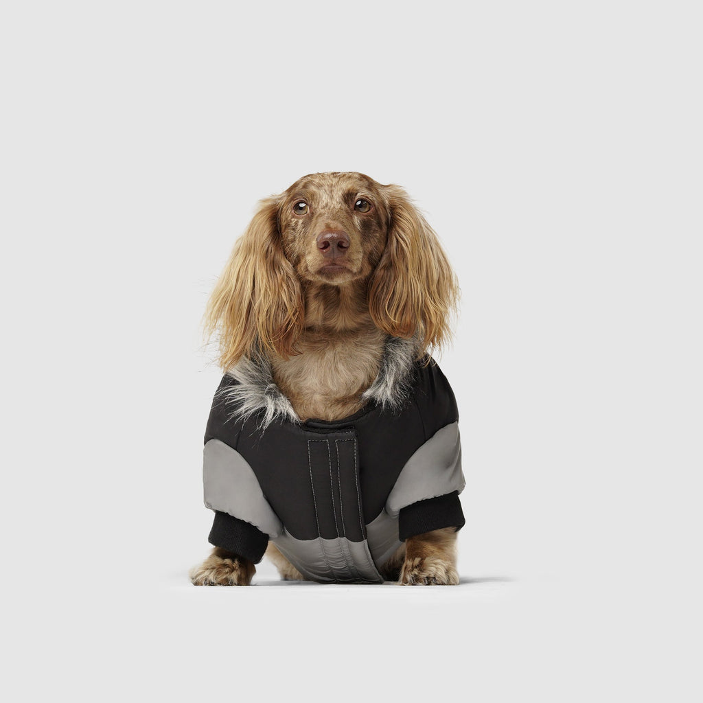 True North Parka by Canada Pooch | Canadapoud 3A78
