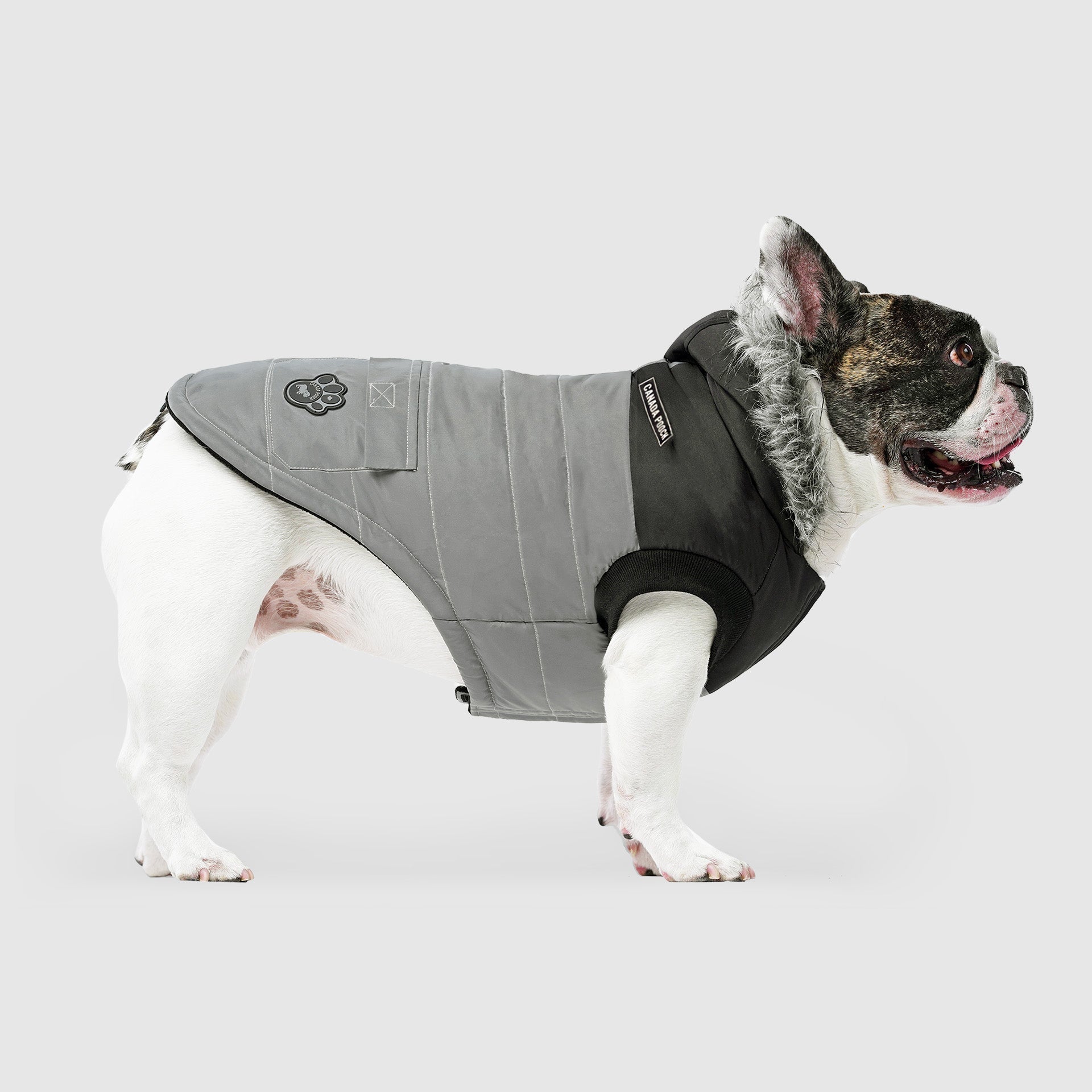True North Parka by Canada Pooch | Canadapoud 3A78