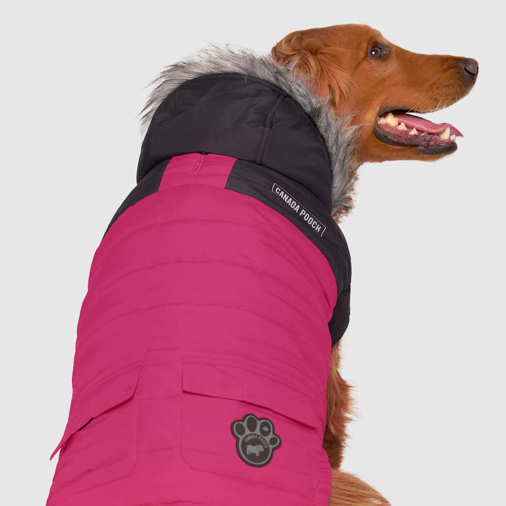 True North Parka by Canada Pooch | Canadapoud 3A78