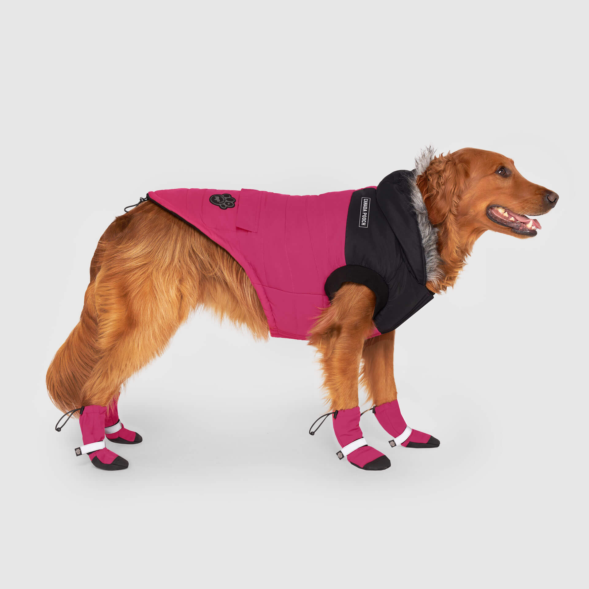 True North Parka by Canada Pooch | Canadapoud 3A78