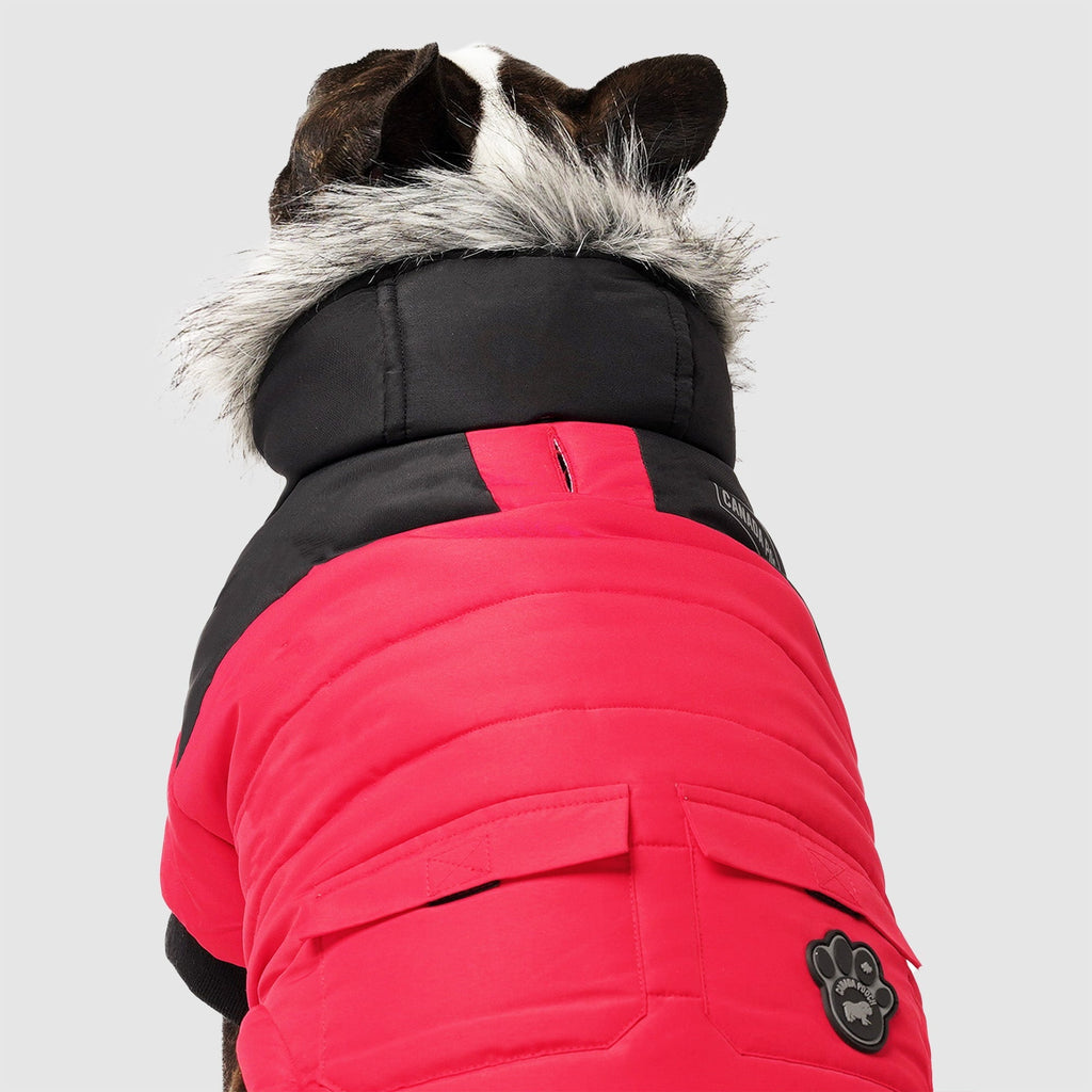 True North Parka by Canada Pooch | Canadapoud 3A78