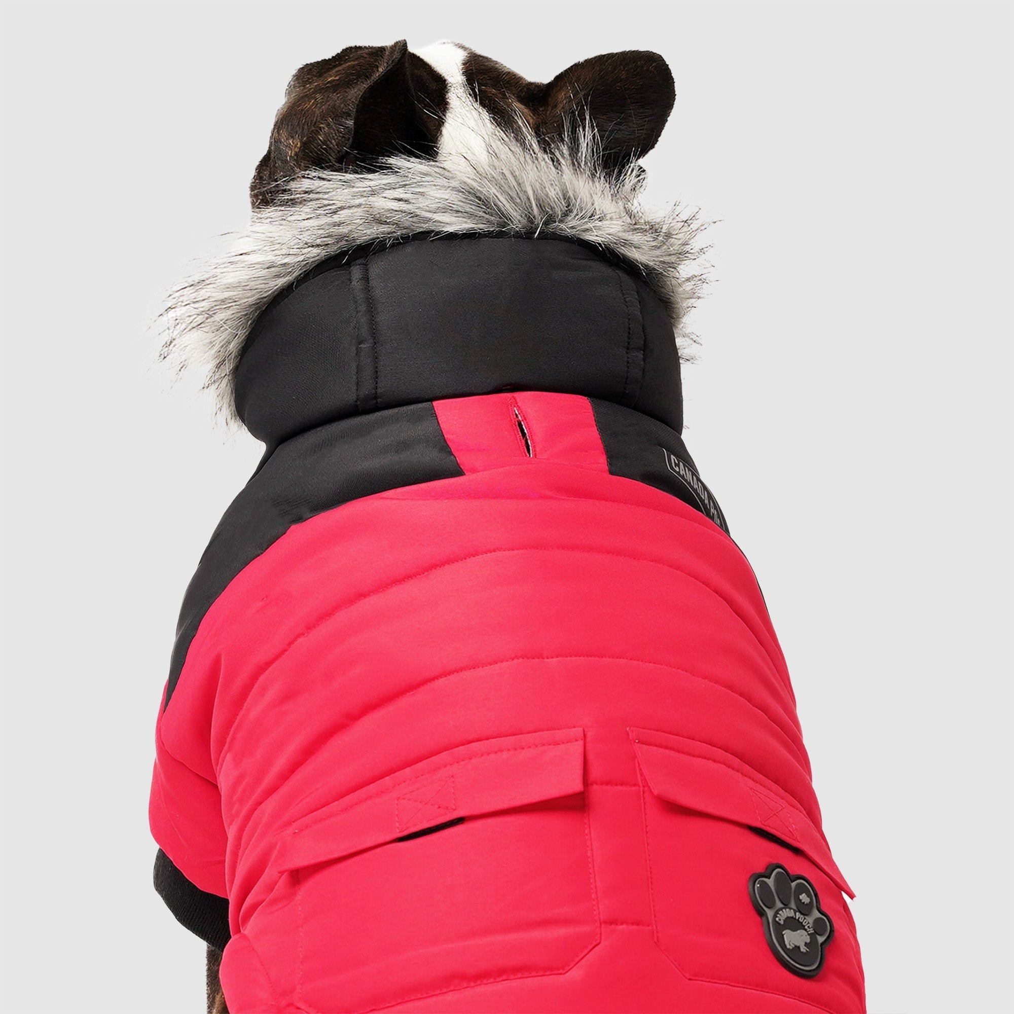 True North Parka by Canada Pooch | Canadapoud 3A78