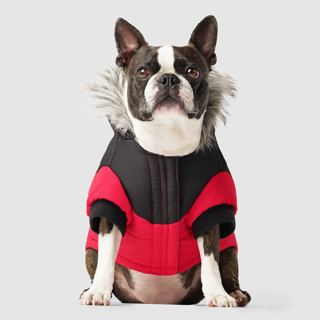 True North Parka by Canada Pooch | Canadapoud 3A78
