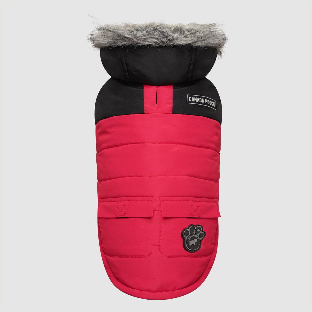 True North Parka by Canada Pooch | Canadapoud 3A78