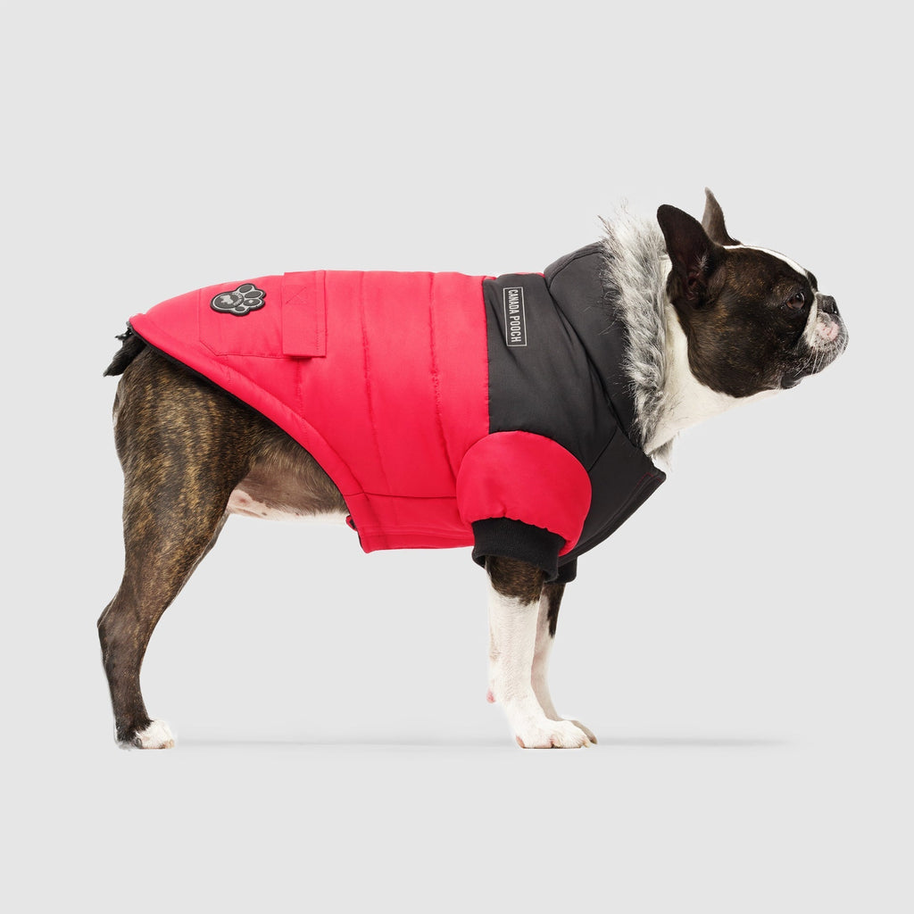 True North Parka by Canada Pooch | Canadapoud 3A78