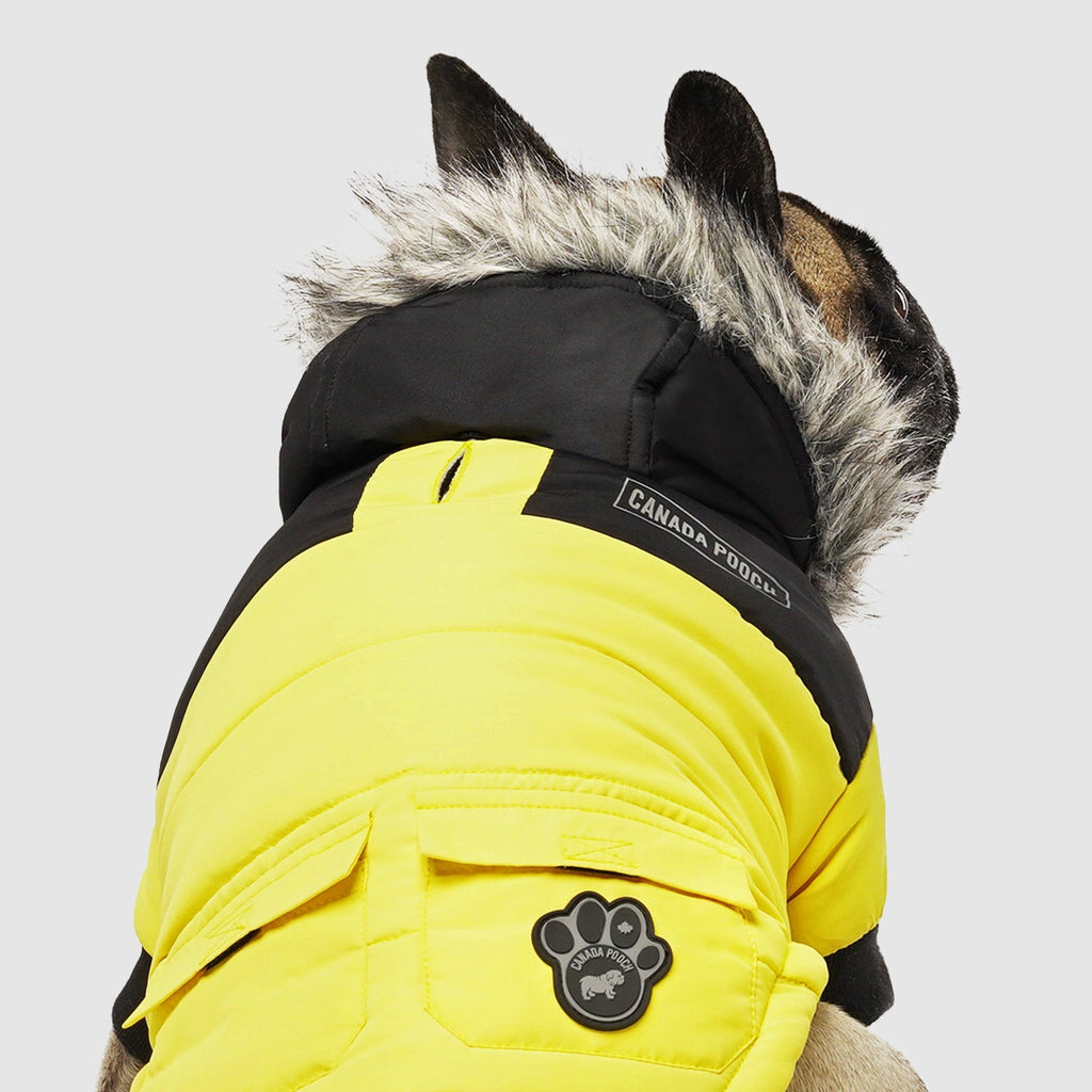 True North Parka by Canada Pooch | Canadapoud 3A78