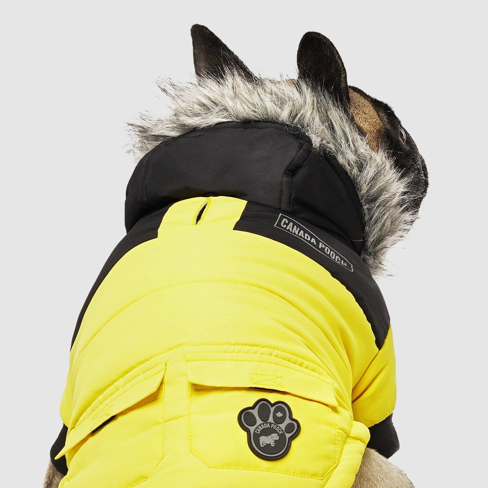 True North Parka by Canada Pooch | Canadapoud 3A78