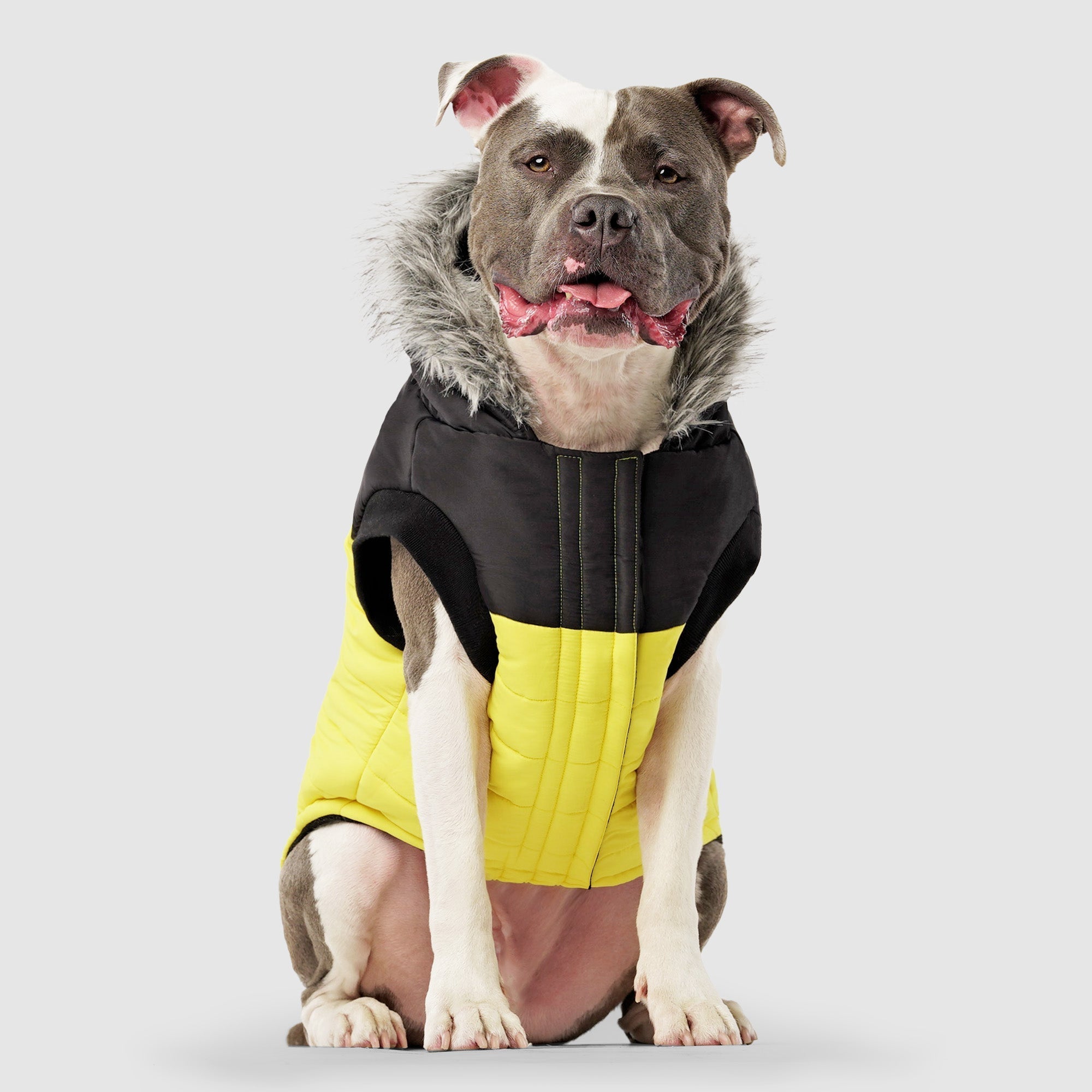 True North Parka by Canada Pooch | Canadapoud 3A78