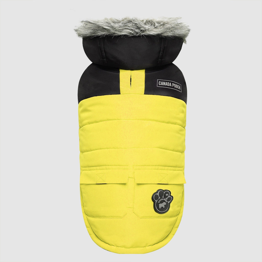 True North Parka by Canada Pooch | Canadapoud 3A78