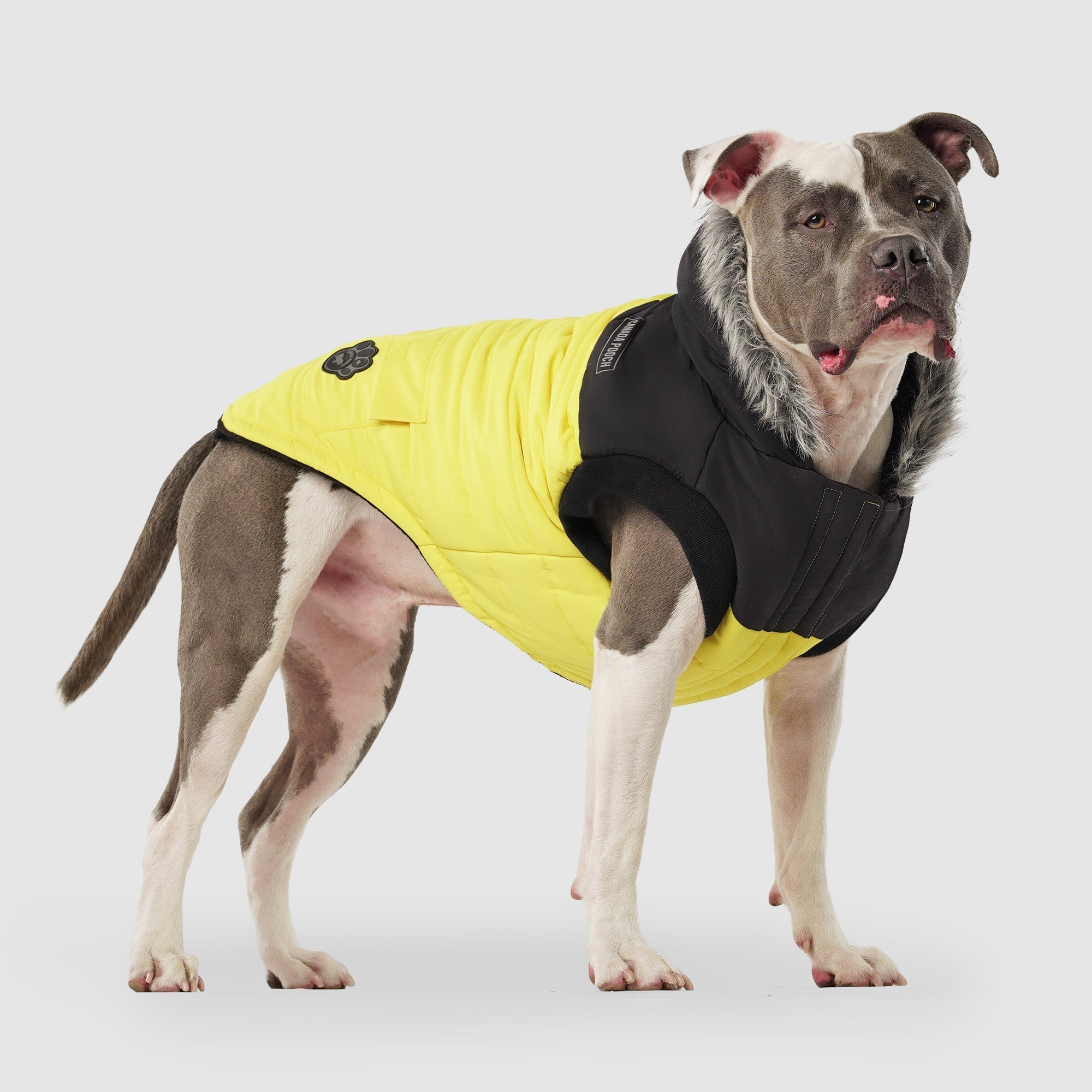 True North Parka by Canada Pooch | Canadapoud 3A78