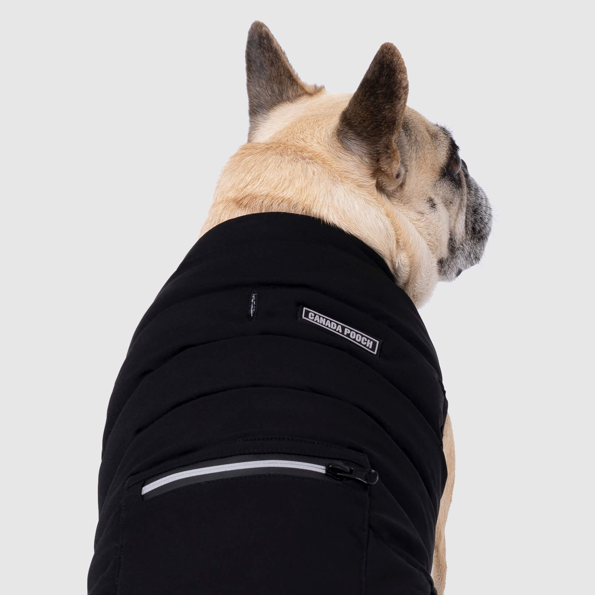 Ultimate Stretch Vest by Canada Pooch | Canadapoud 7799