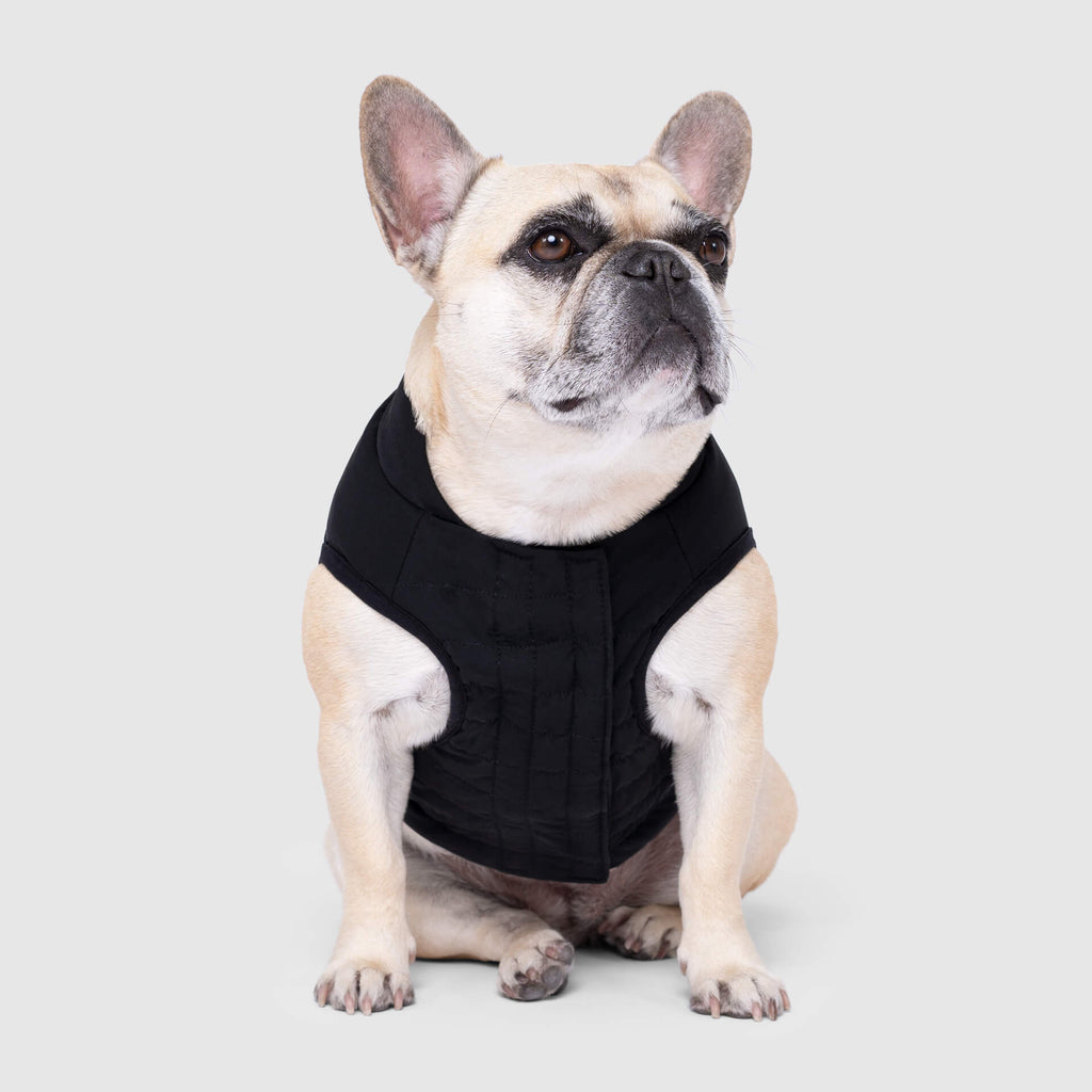 Ultimate Stretch Vest by Canada Pooch | Canadapoud 7799
