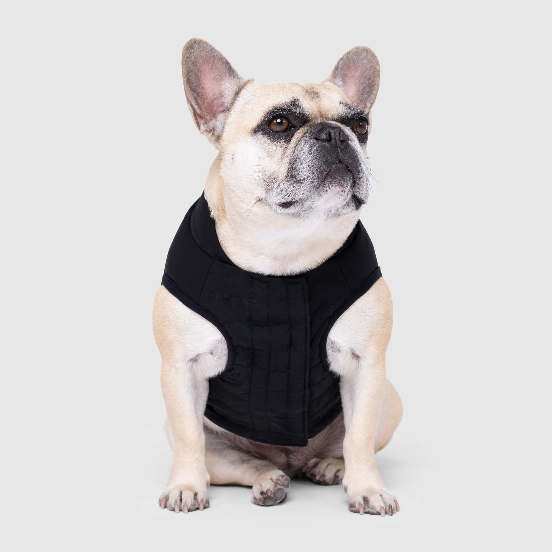 Ultimate Stretch Vest by Canada Pooch | Canadapoud 7799