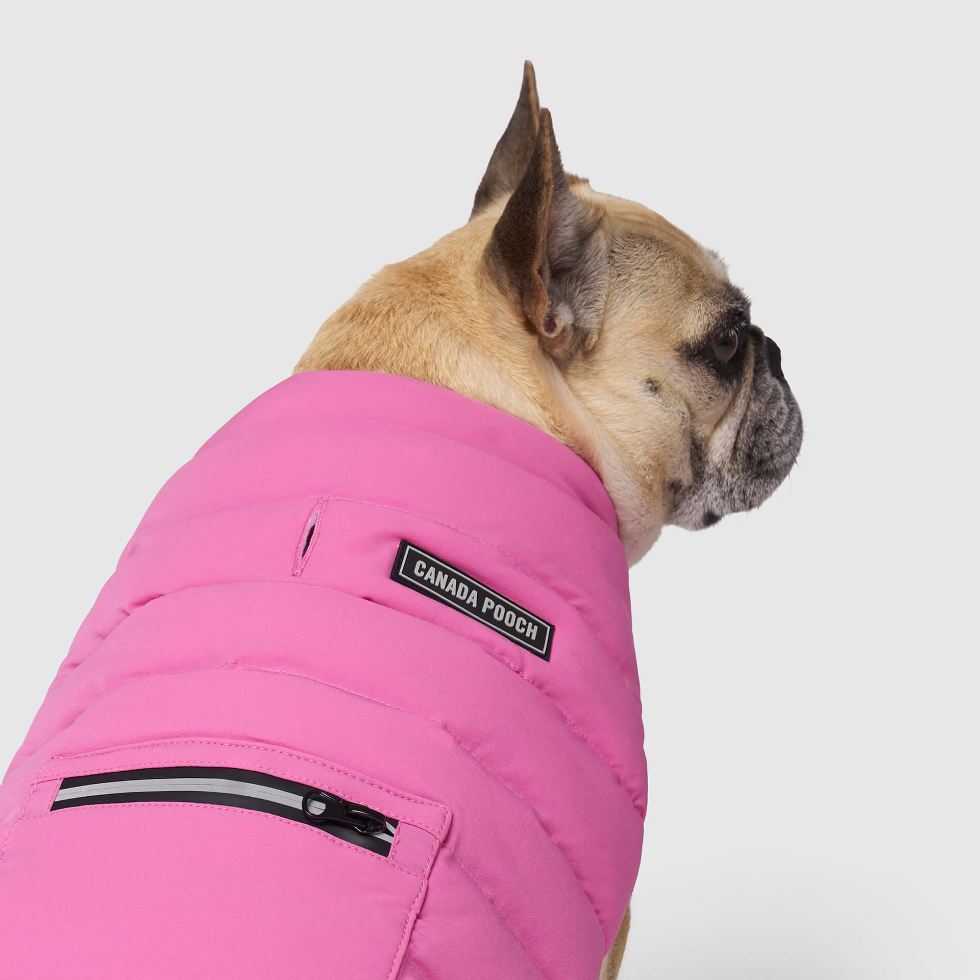 Ultimate Stretch Vest by Canada Pooch | Canadapoud 7799
