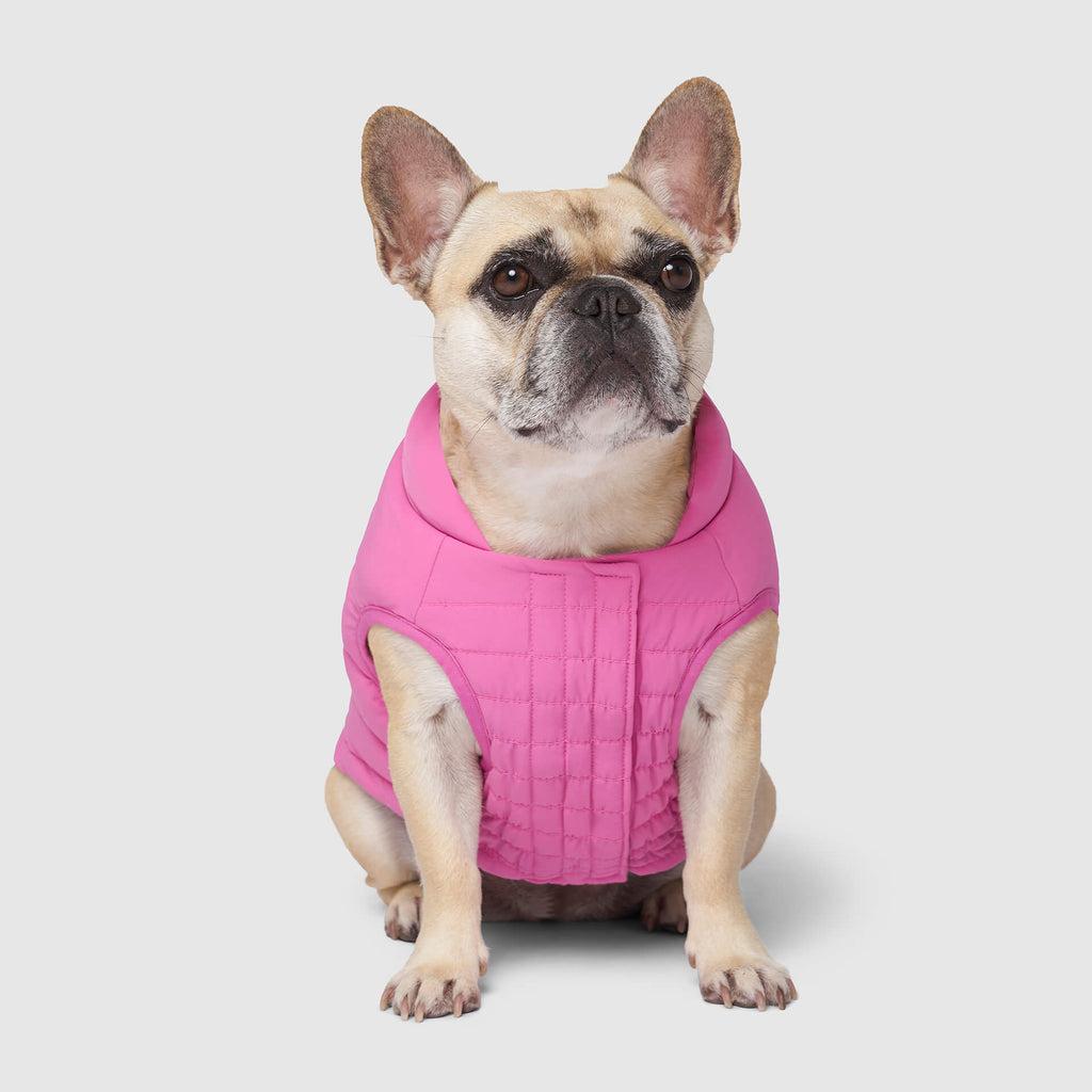 Ultimate Stretch Vest by Canada Pooch | Canadapoud 6856