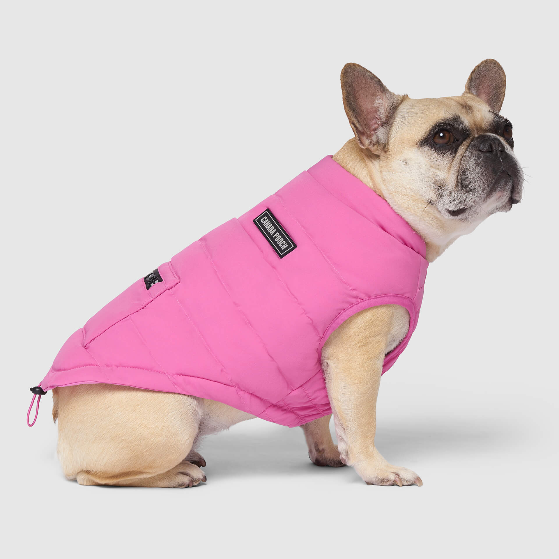 Ultimate Stretch Vest by Canada Pooch | Canadapoud 7799
