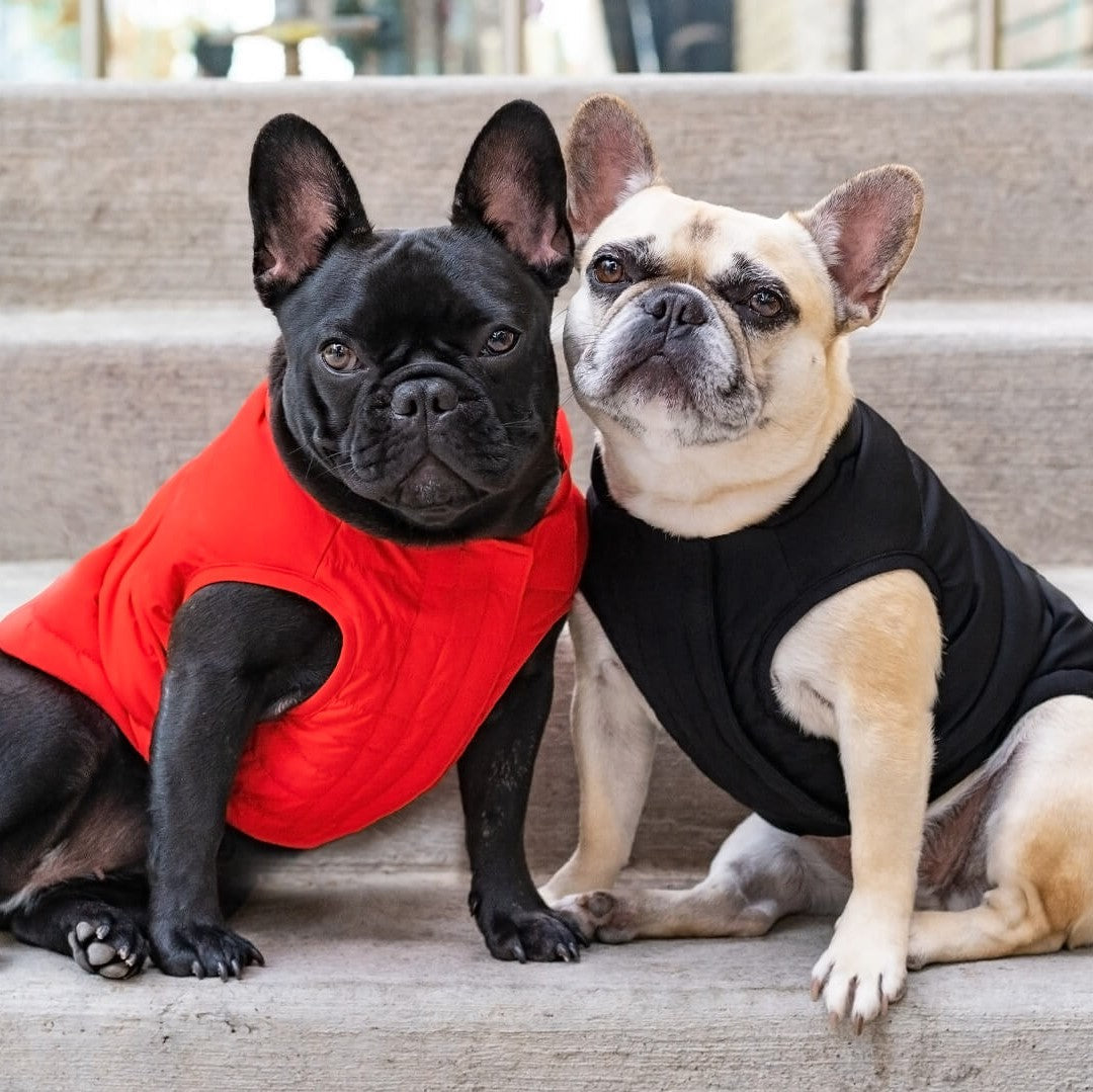 Ultimate Stretch Vest by Canada Pooch | Canadapoud 7799