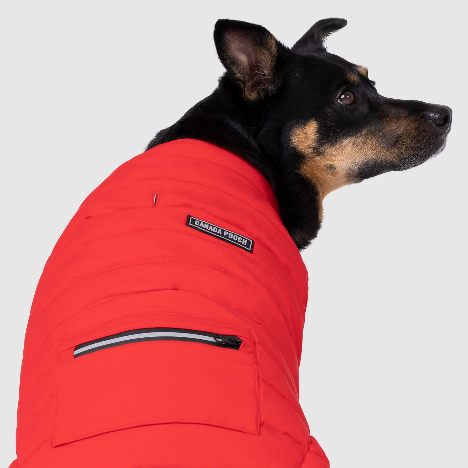 Ultimate Stretch Vest by Canada Pooch | Canadapoud 7799