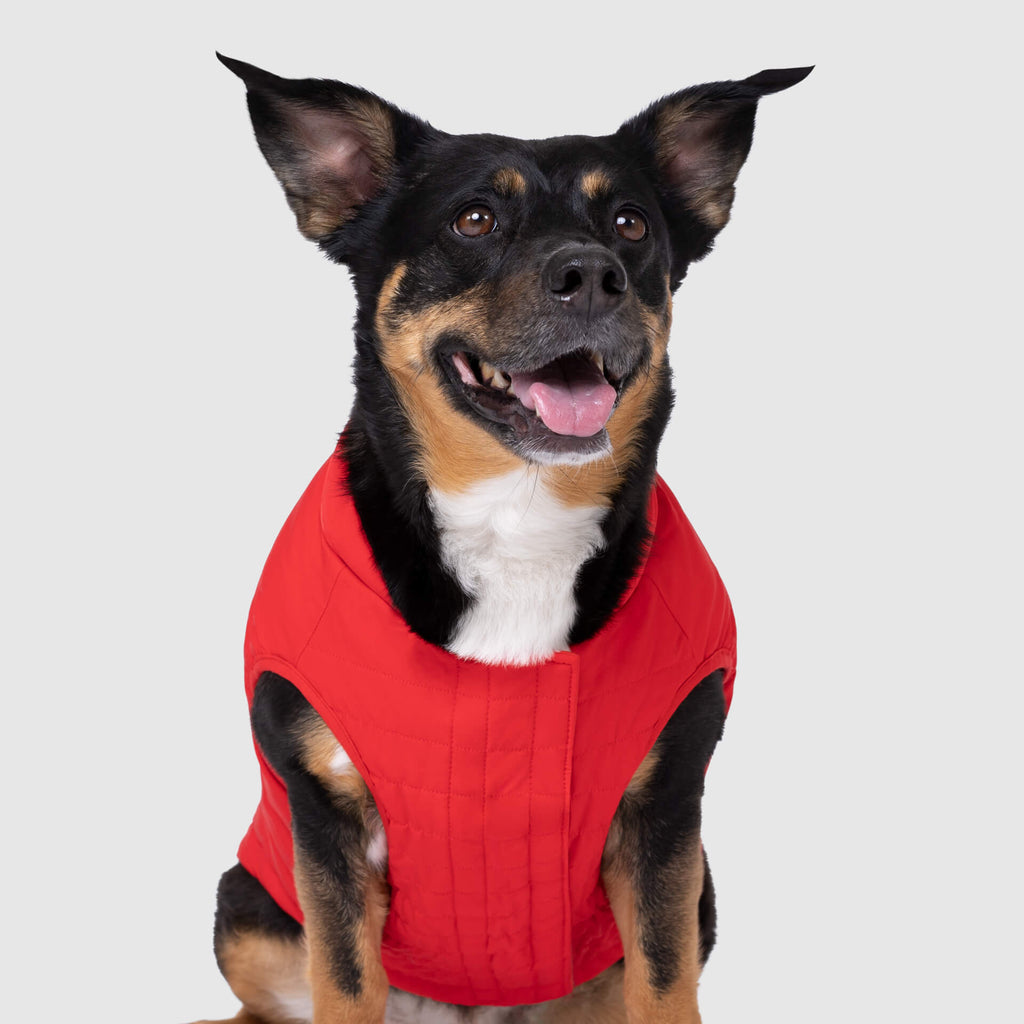 Ultimate Stretch Vest by Canada Pooch | Canadapoud 7799