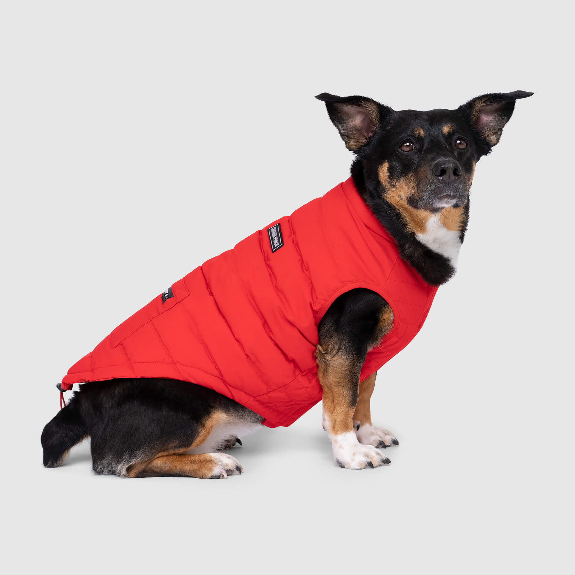 Ultimate Stretch Vest by Canada Pooch | Canadapoud 6856