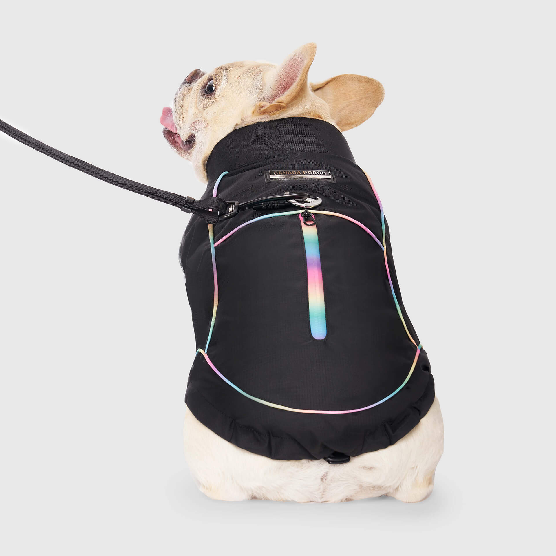 Utility Parka by Canada Pooch | Canadapoud A360