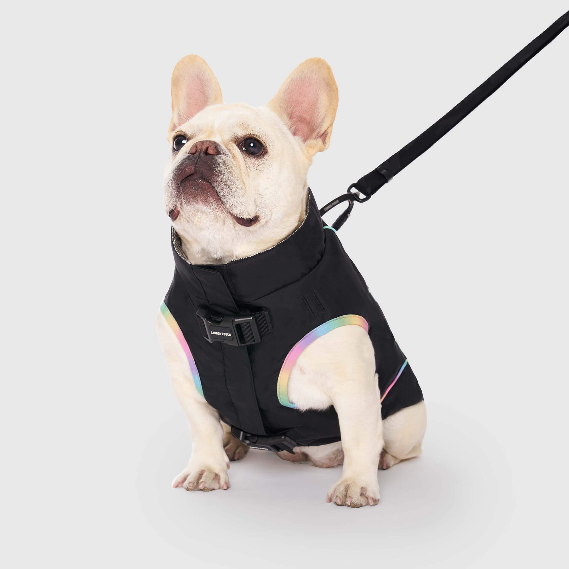 Utility Parka by Canada Pooch | Canadapoud A360