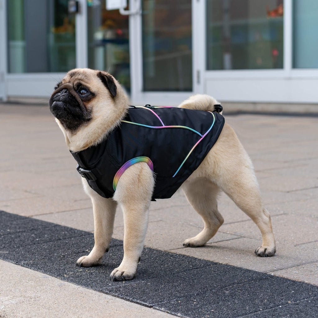 Utility Parka by Canada Pooch | Canadapoud A360