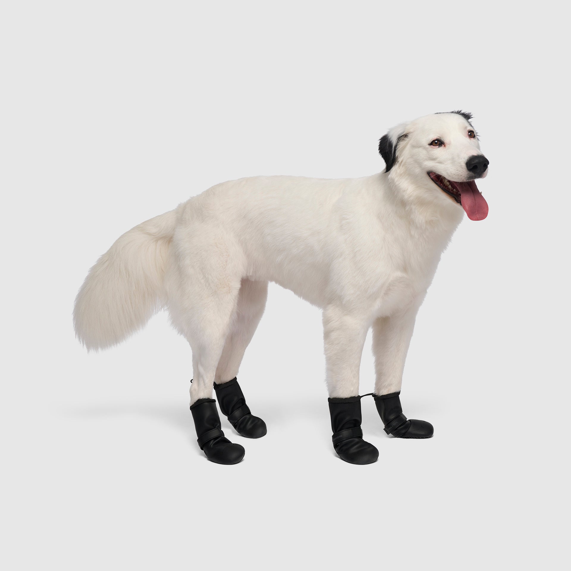 Waterproof Rain Boots by Canada Pooch | Canadapoud 6362