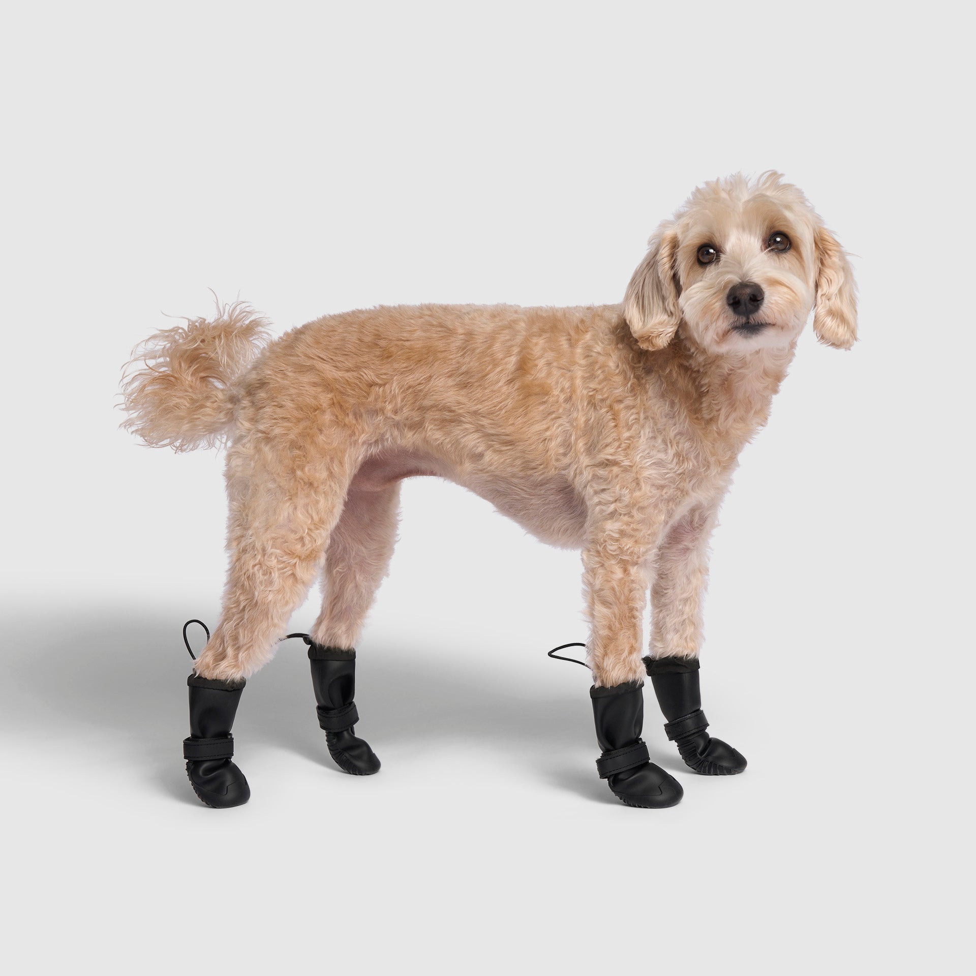 Waterproof Rain Boots by Canada Pooch | Canadapoud 6362