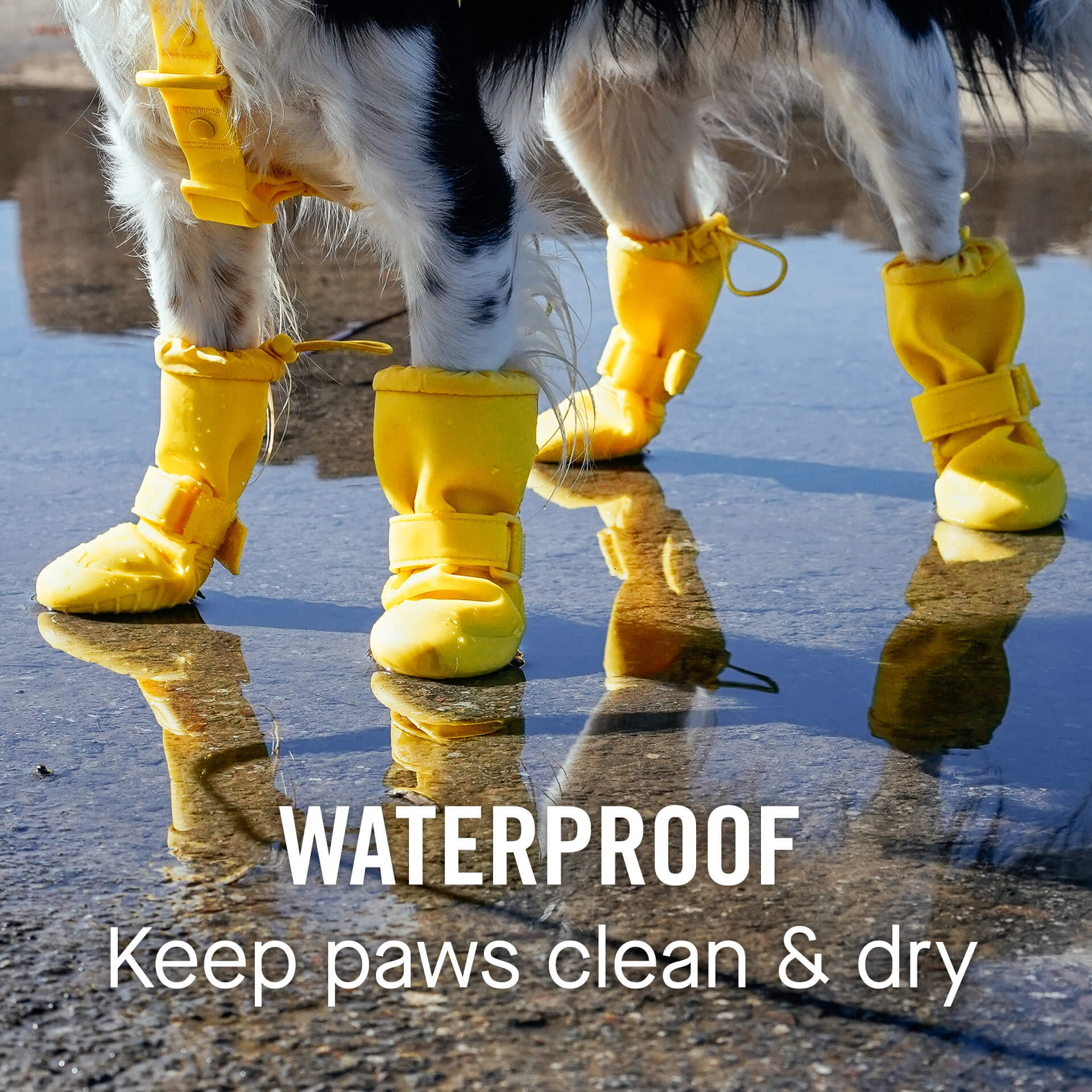 Waterproof Rain Boots by Canada Pooch | Canadapoud CBA6