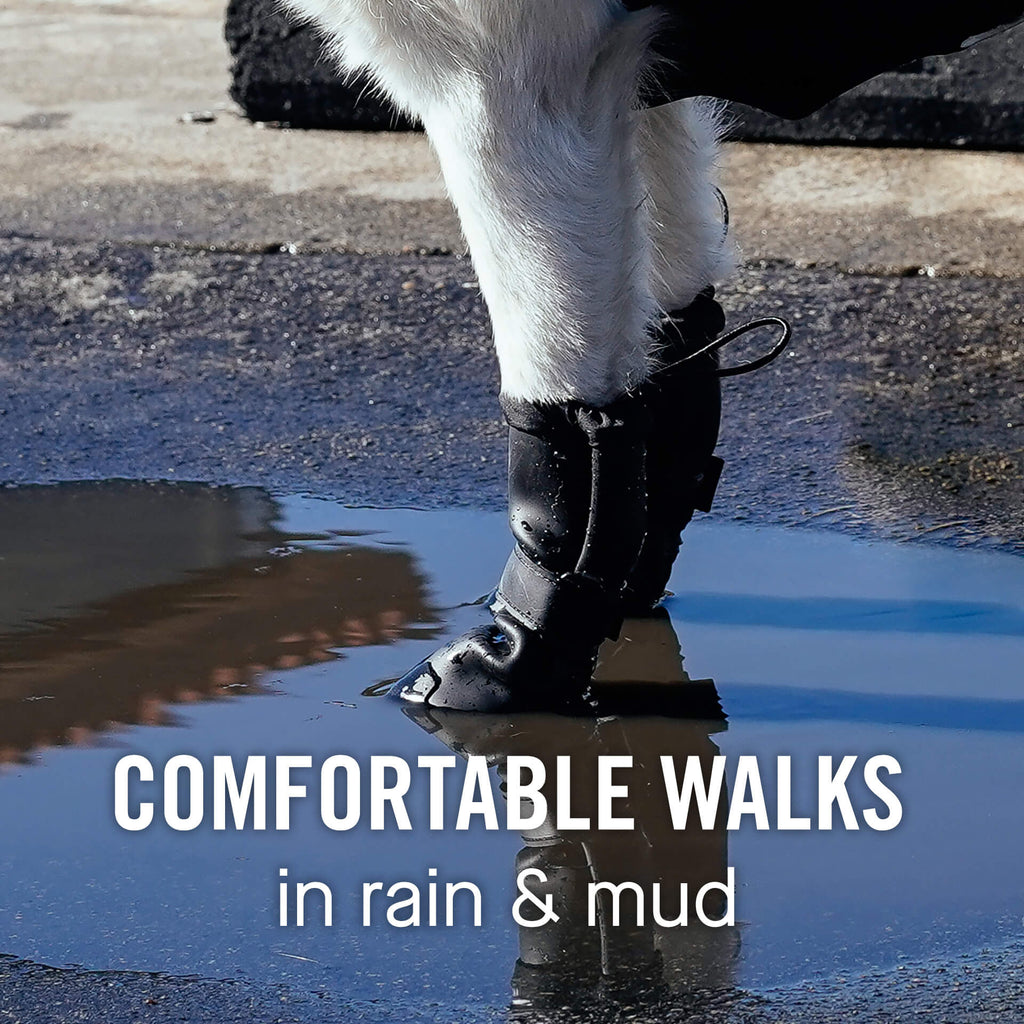 Waterproof Rain Boots by Canada Pooch | Canadapoud 6362