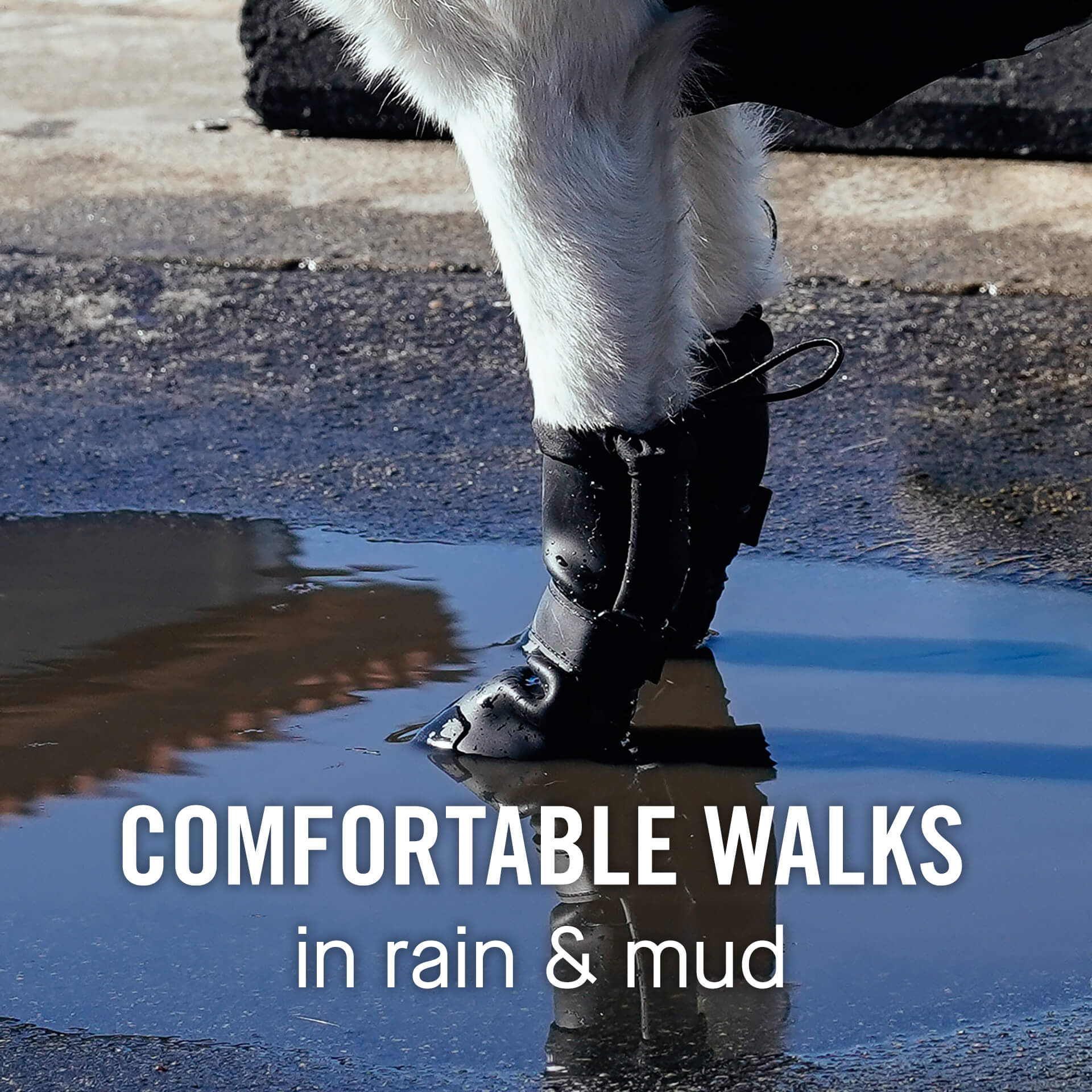 Waterproof Rain Boots by Canada Pooch | Canadapoud CBA6