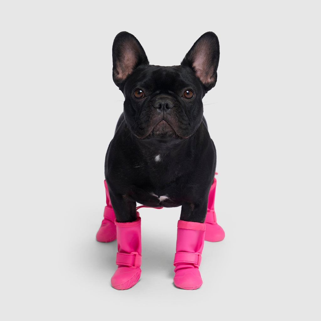 Waterproof Rain Boots by Canada Pooch | Canadapoud 6362