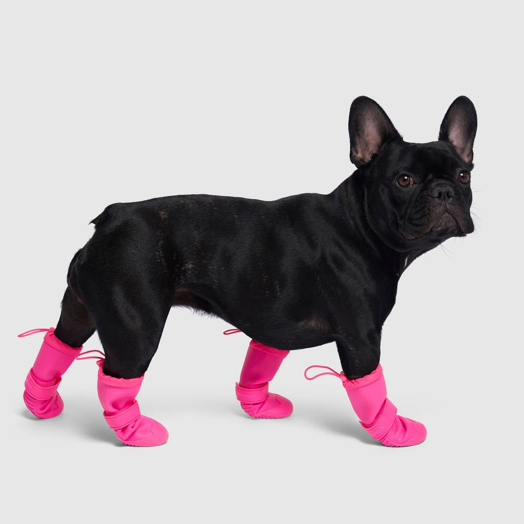 Waterproof Rain Boots by Canada Pooch | Canadapoud 6362