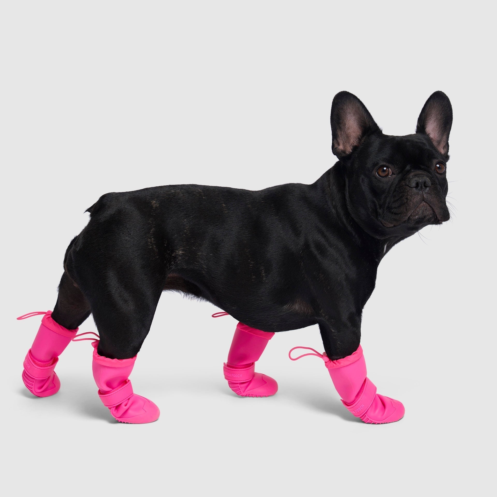 Waterproof Rain Boots by Canada Pooch | Canadapoud 6362