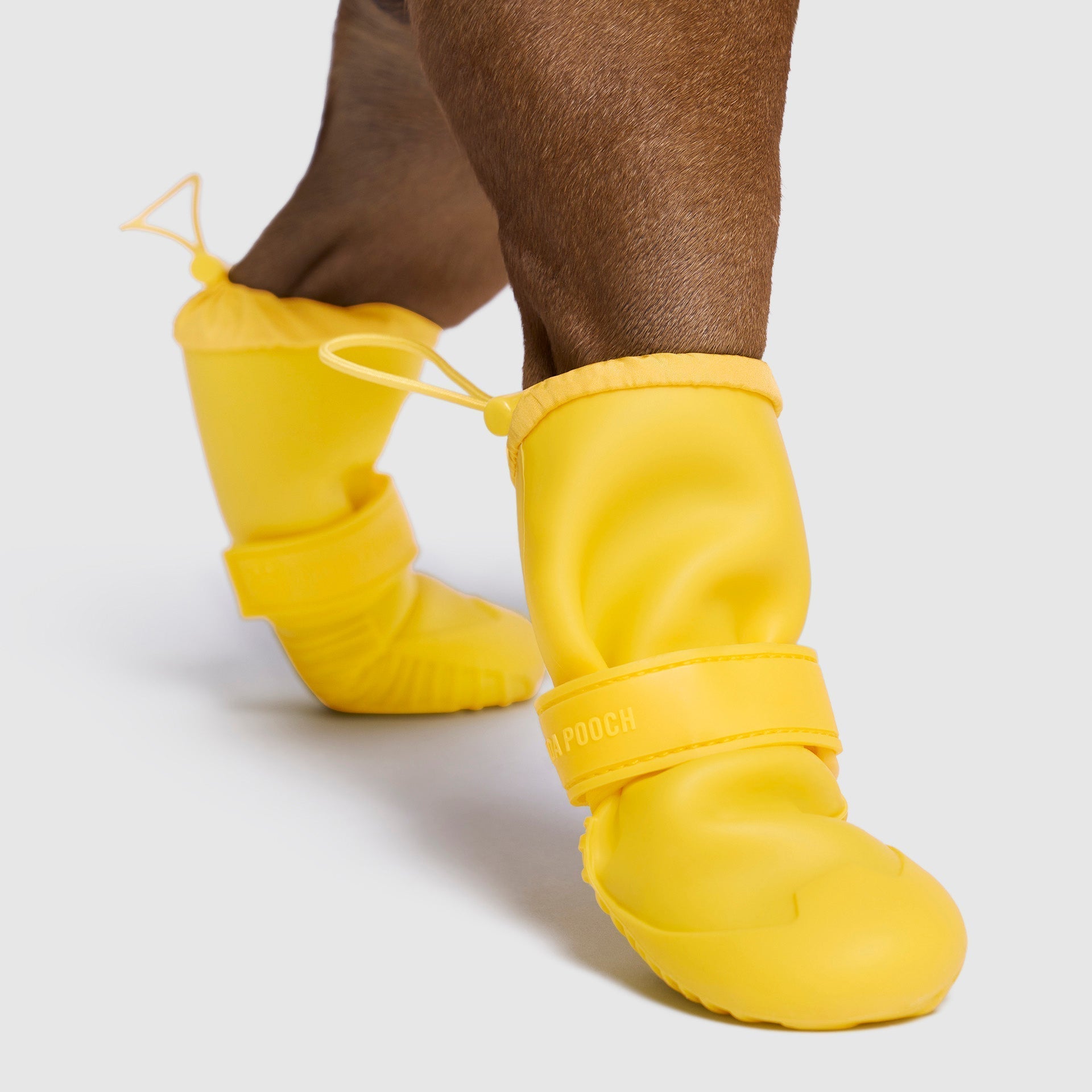 Waterproof Rain Boots by Canada Pooch | Canadapoud 6362