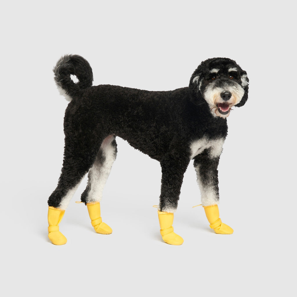 Waterproof Rain Boots by Canada Pooch | Canadapoud 6362