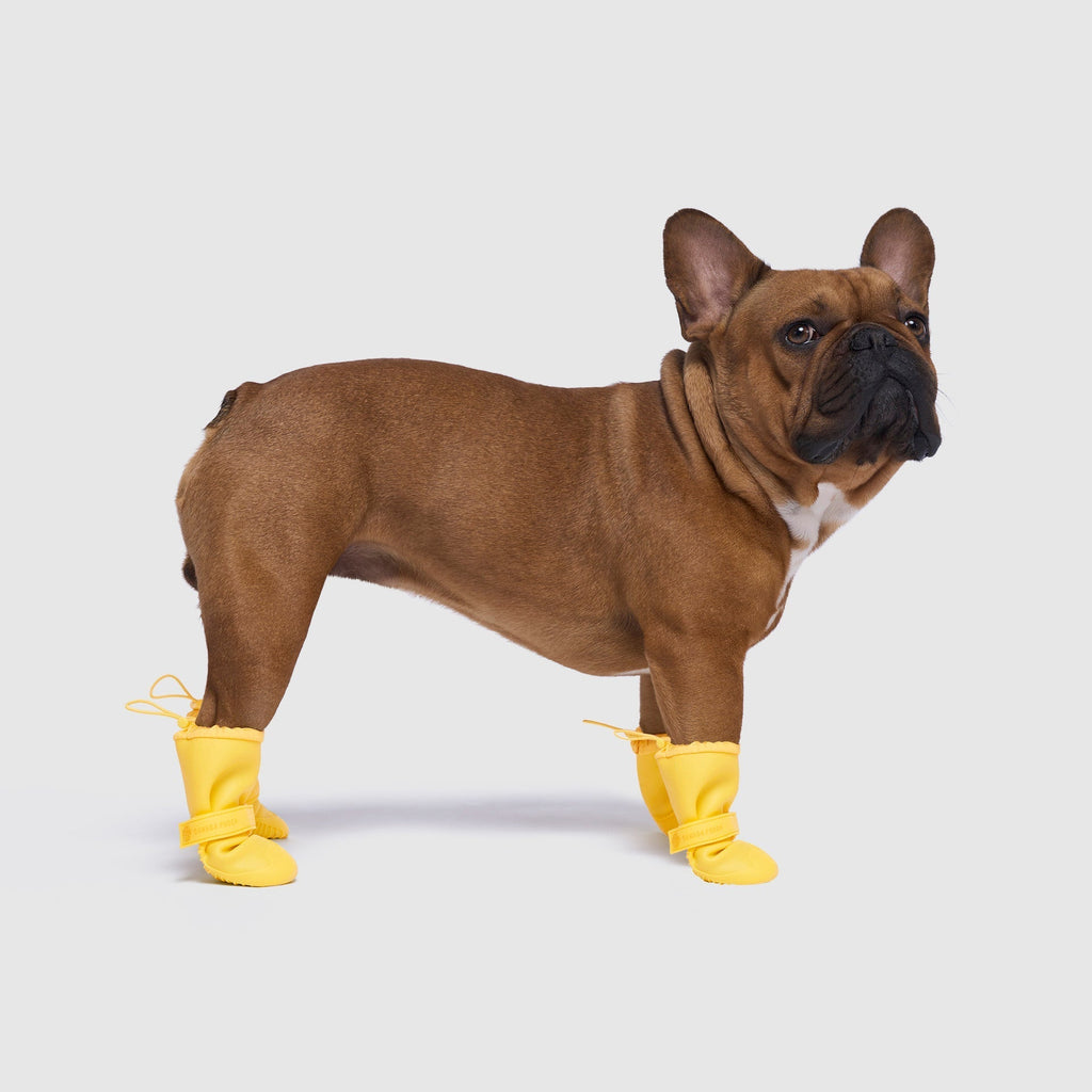 Waterproof Rain Boots by Canada Pooch | Canadapoud 6362