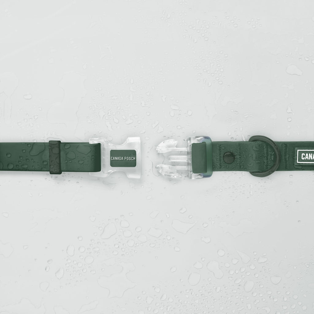 Waterproof Collar by Canada Pooch | Canadapoud 28A8