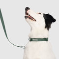 Waterproof Collar by Canada Pooch | Canadapoud 28A8