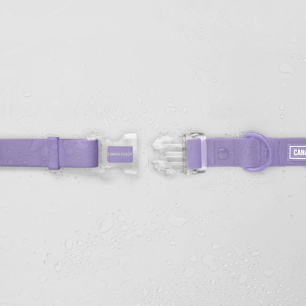 Waterproof Collar by Canada Pooch | Canadapoud 28A8