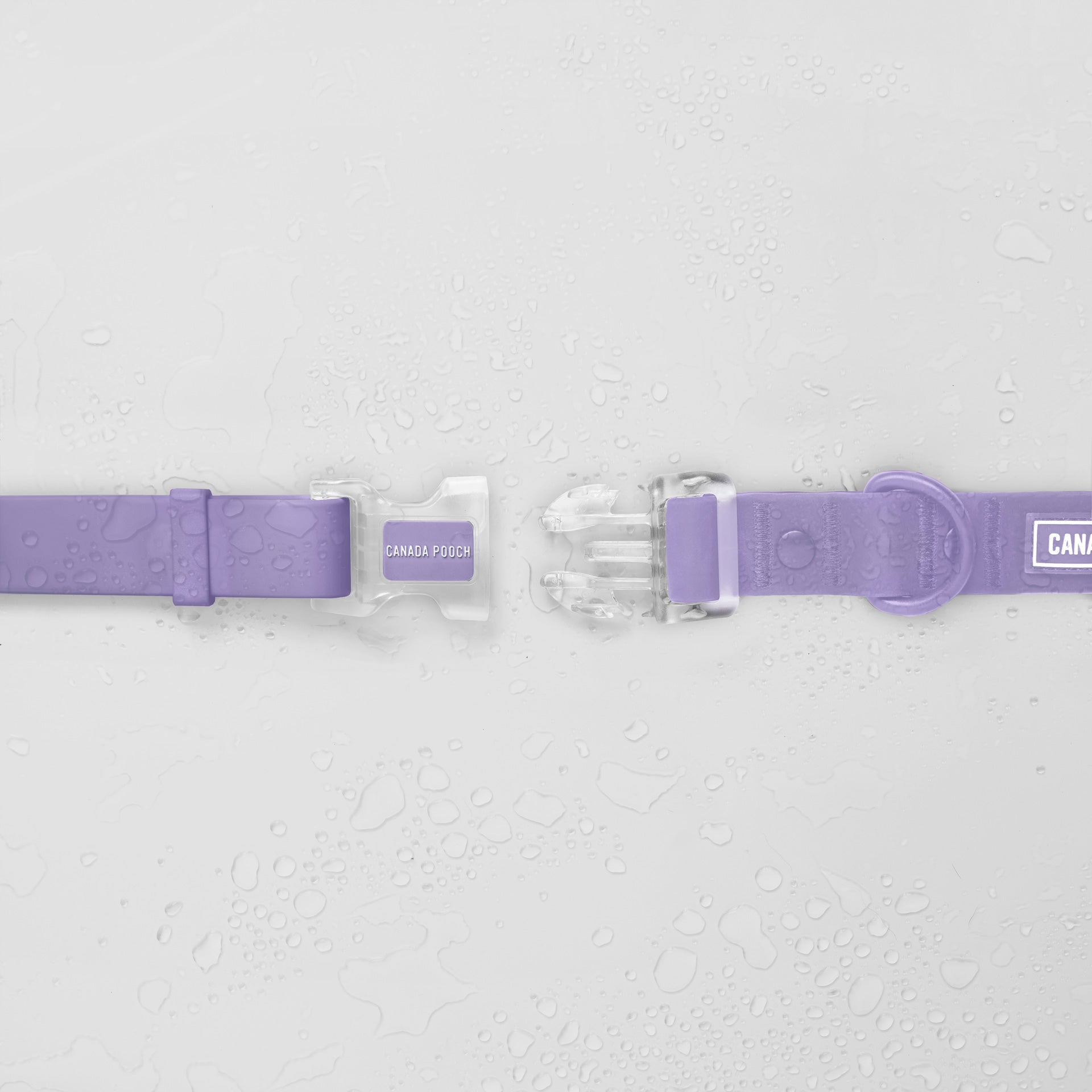 Waterproof Collar by Canada Pooch | Canadapoud 28A8