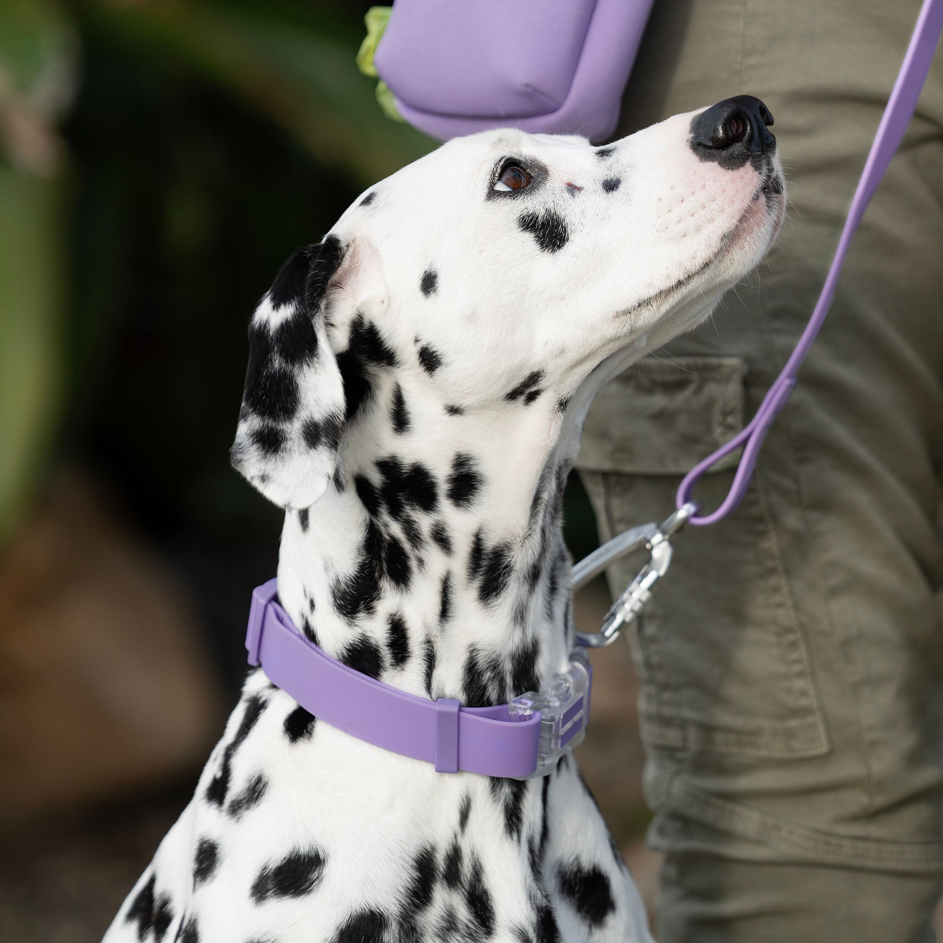 Waterproof Collar by Canada Pooch | Canadapoud 28A8